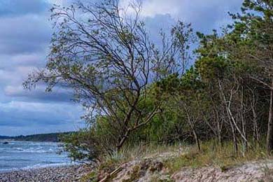 职业体育经纪人管理办法将于明年实施，体育职业经理人有什么用