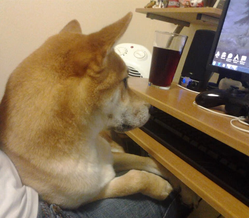 开云体育官方网站登陆-“2025世界游泳锦标赛：顶尖游泳选手争夺金牌荣耀”