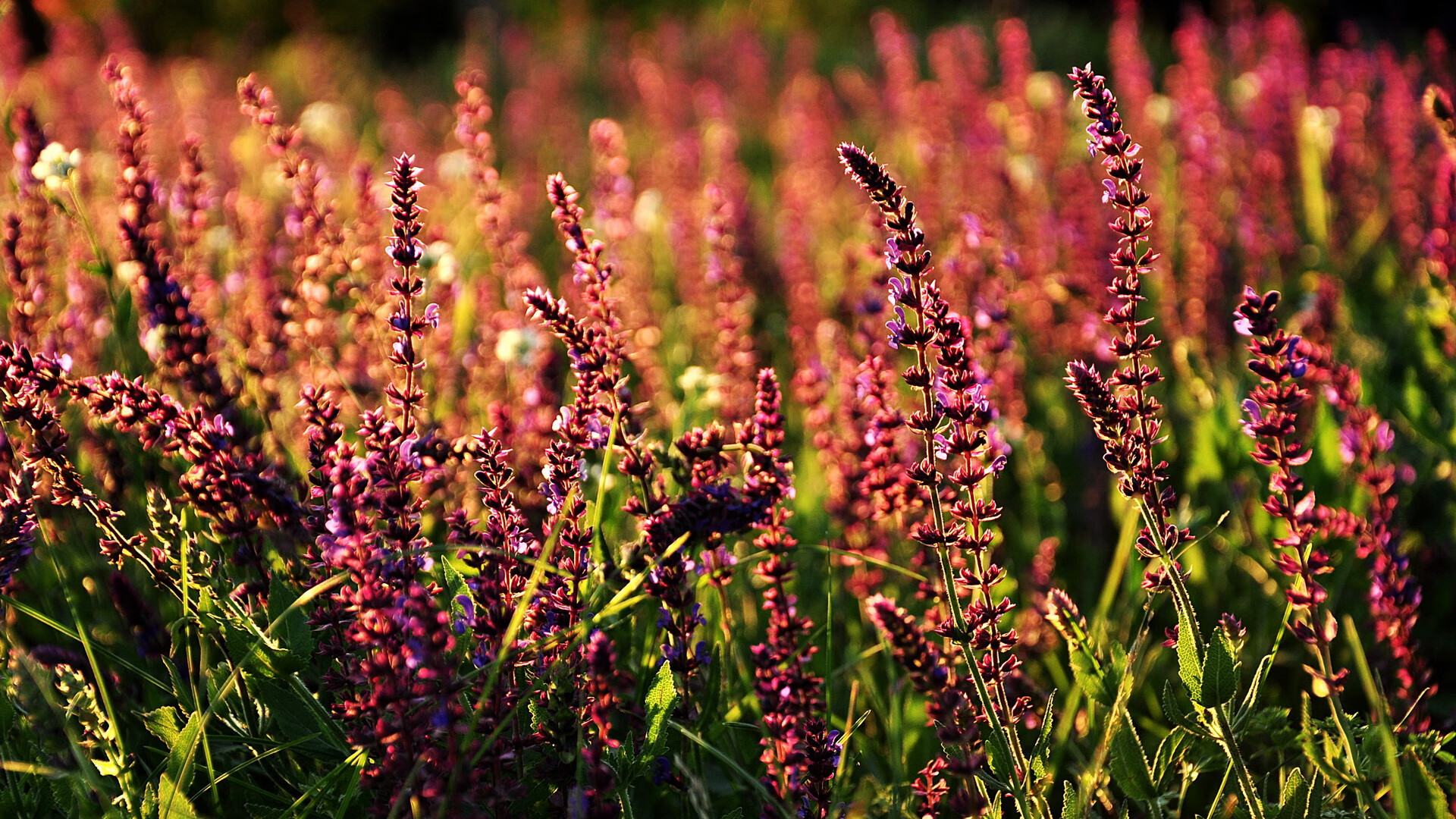 三秒内完成断球至射门成效显著,断球的时候可以碰到手吗