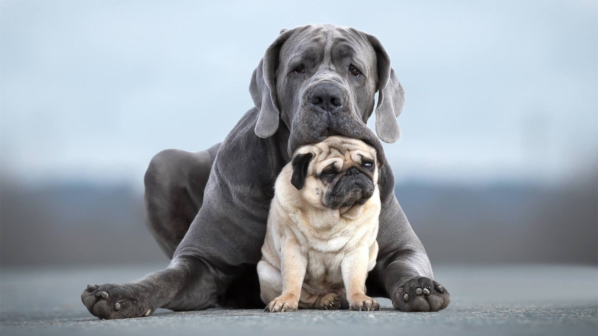 中国男篮投篮命中率稳步上升，中国男篮投篮姿势