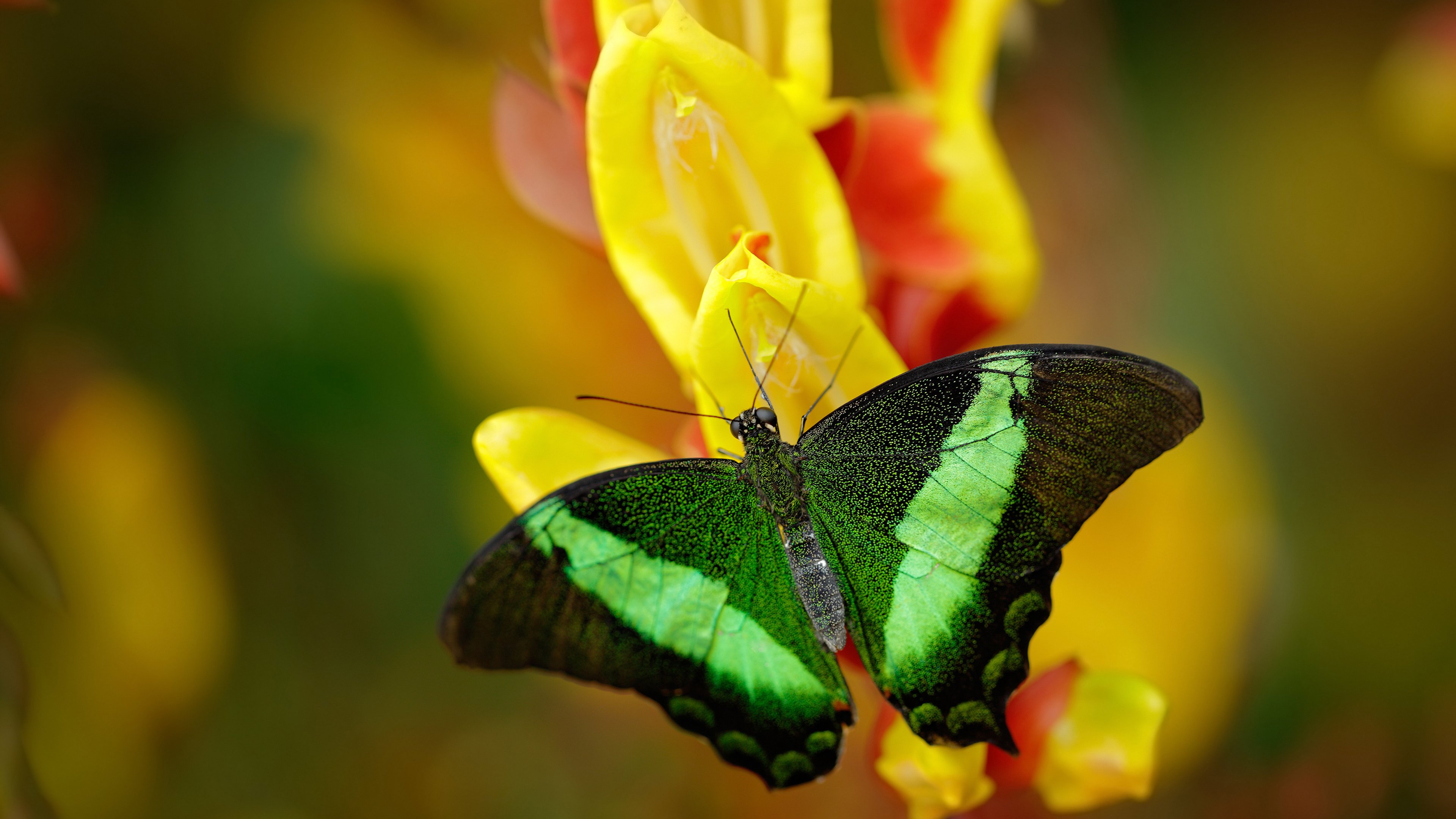 开云入口-中小学体育兴趣社团全面升级，有创意的小学体育社团名称
