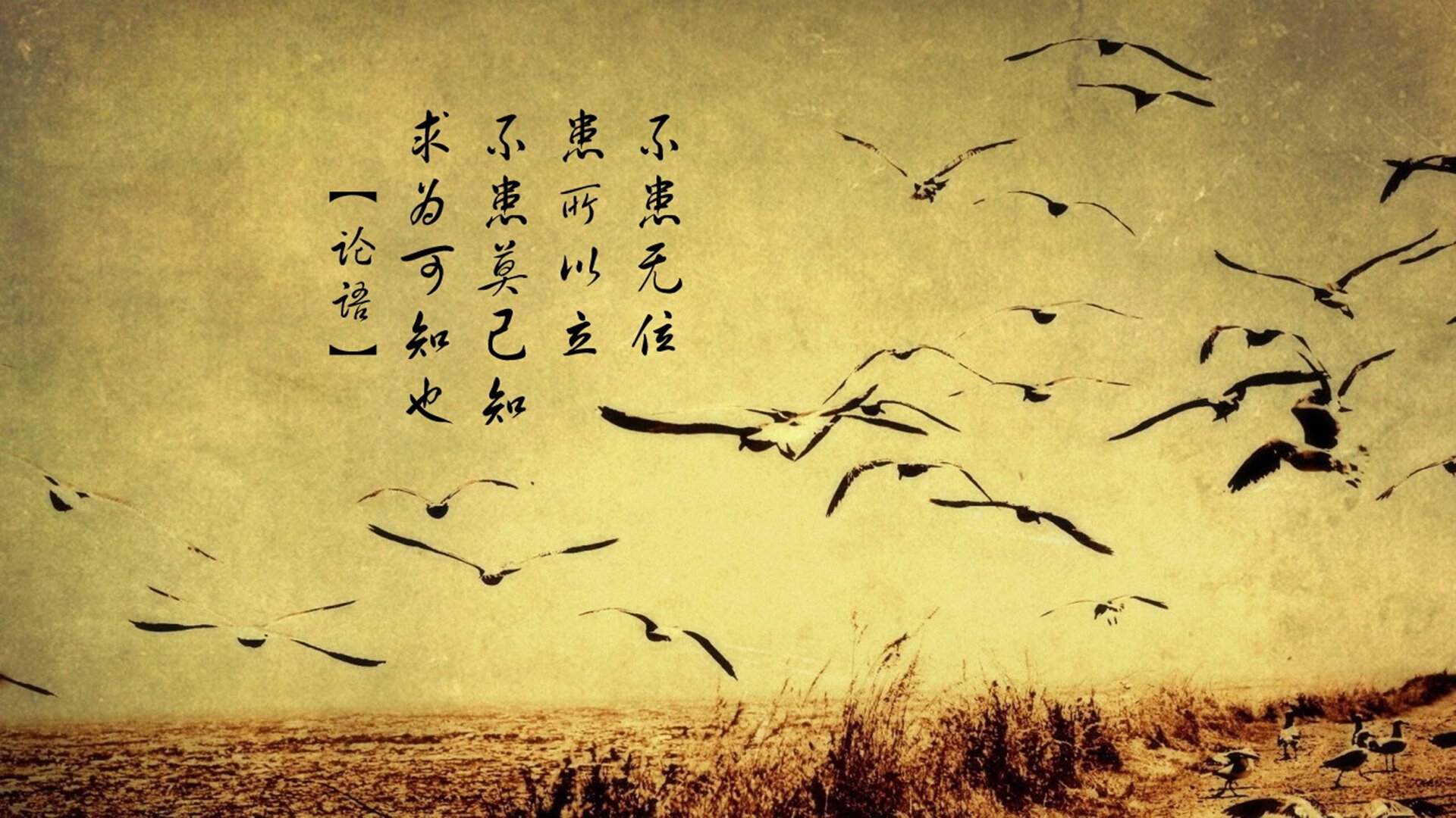 倒三角结构助力前场渗透，什么叫倒三角