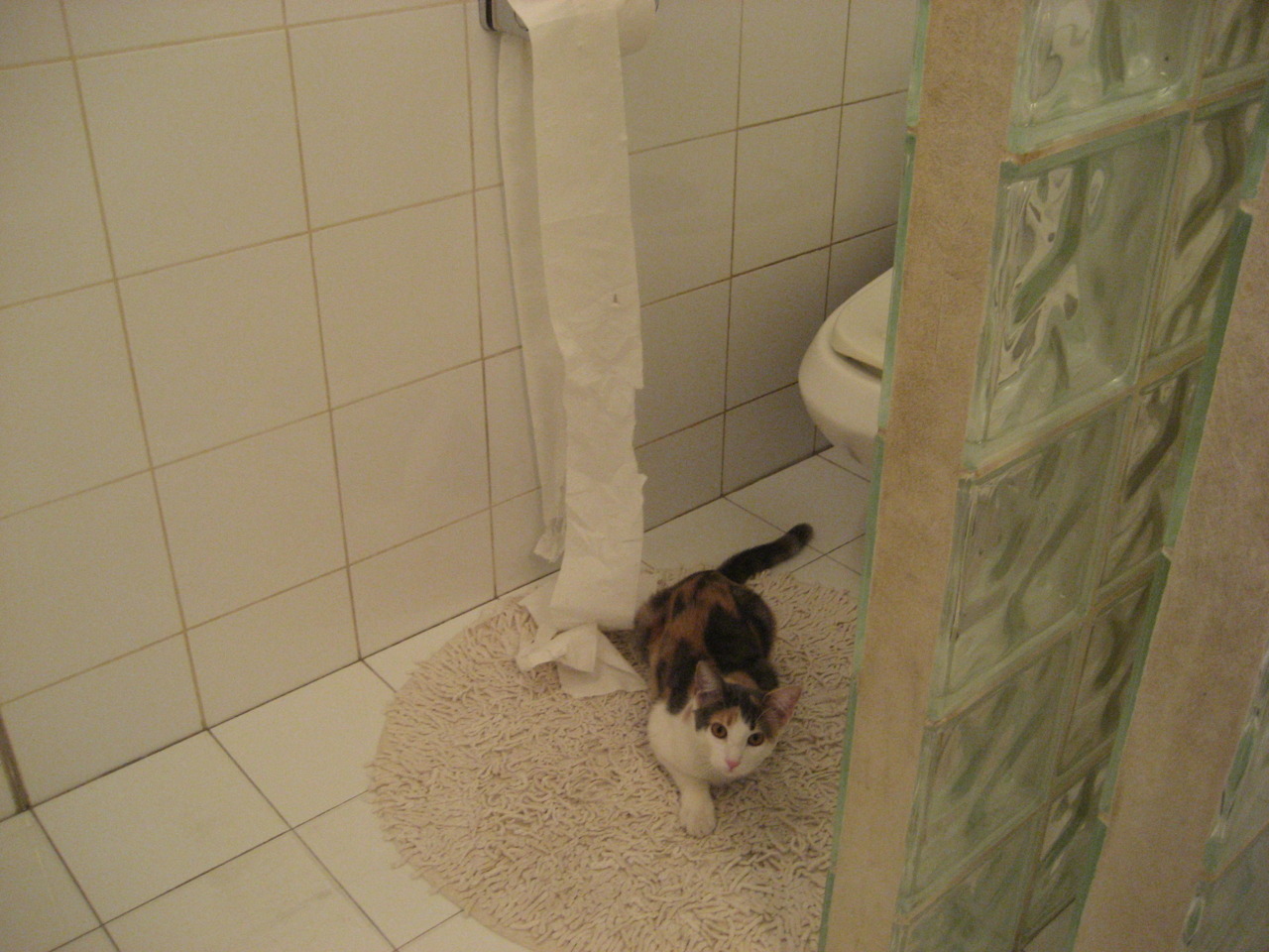 中国足球俱乐部推动退役球员转型做教练，中国足球退役 男运动员