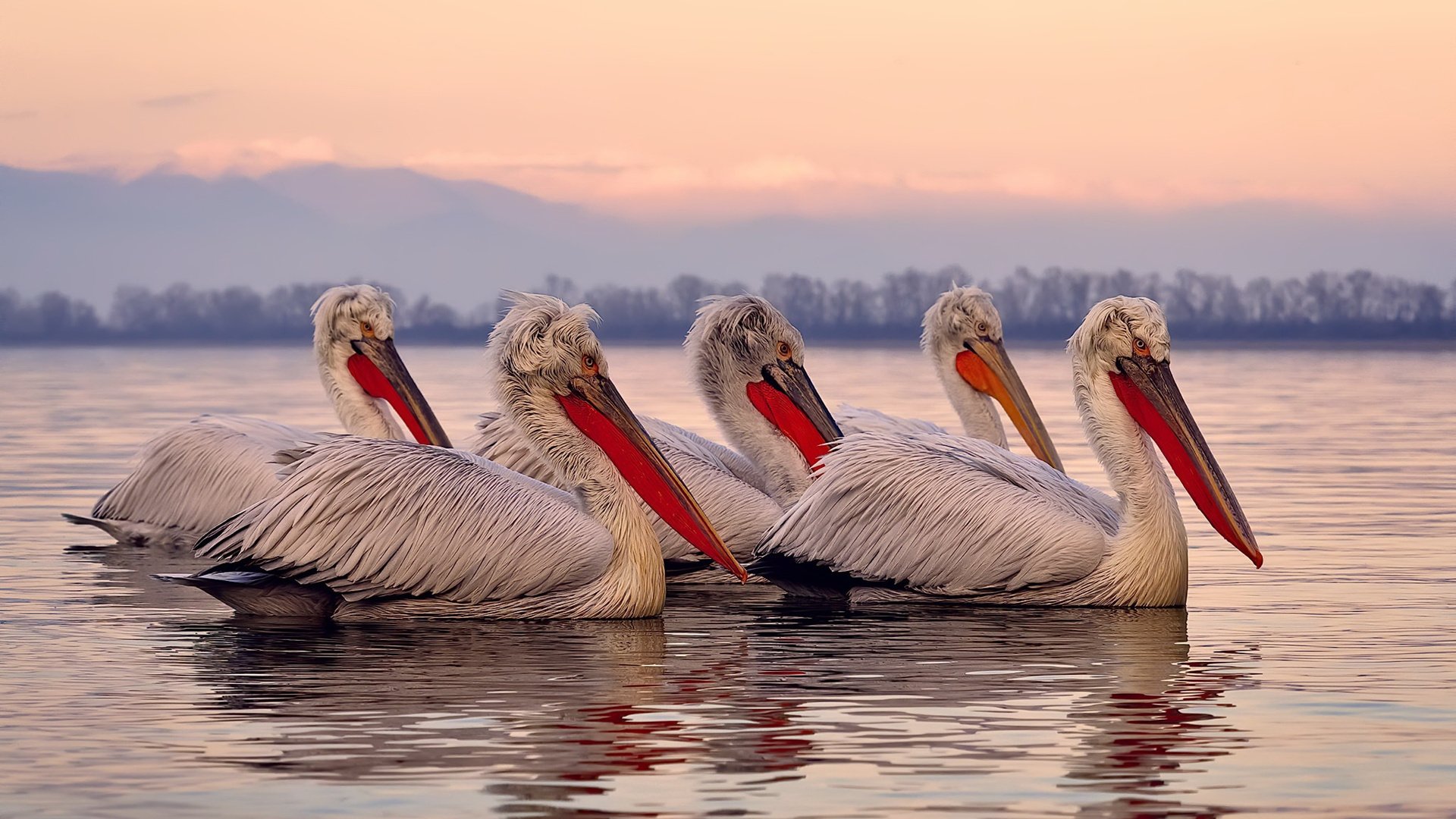 中国足球职业俱乐部青训营科学训练体系完善，中国足球青训营都有哪些