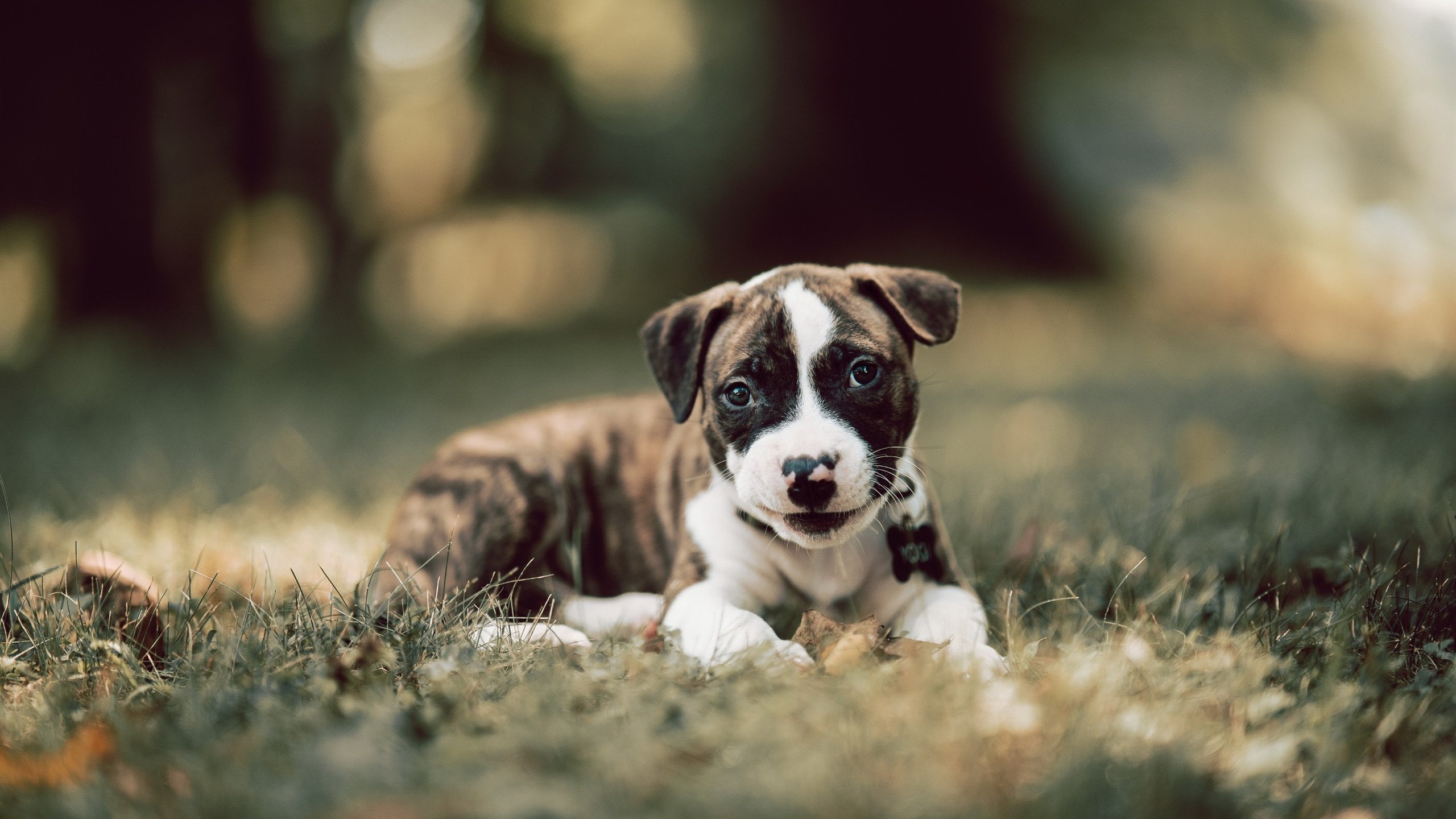 国际友谊赛表现不佳引发外界对备战状态的质疑,国际友谊赛比赛