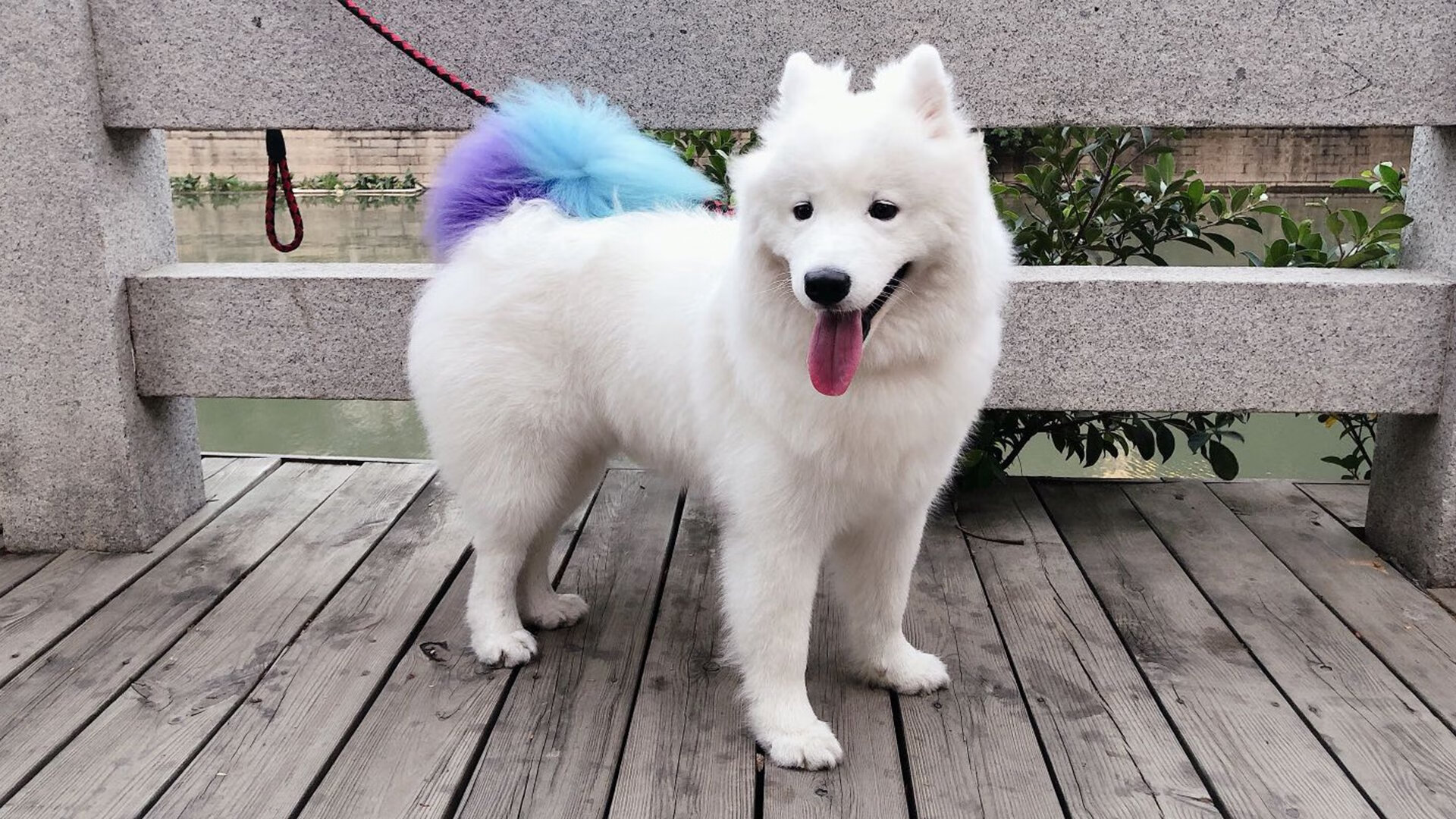 国际足球青训联盟推动标准国际化,塑造全球青训体系新格局,国际青少年足球