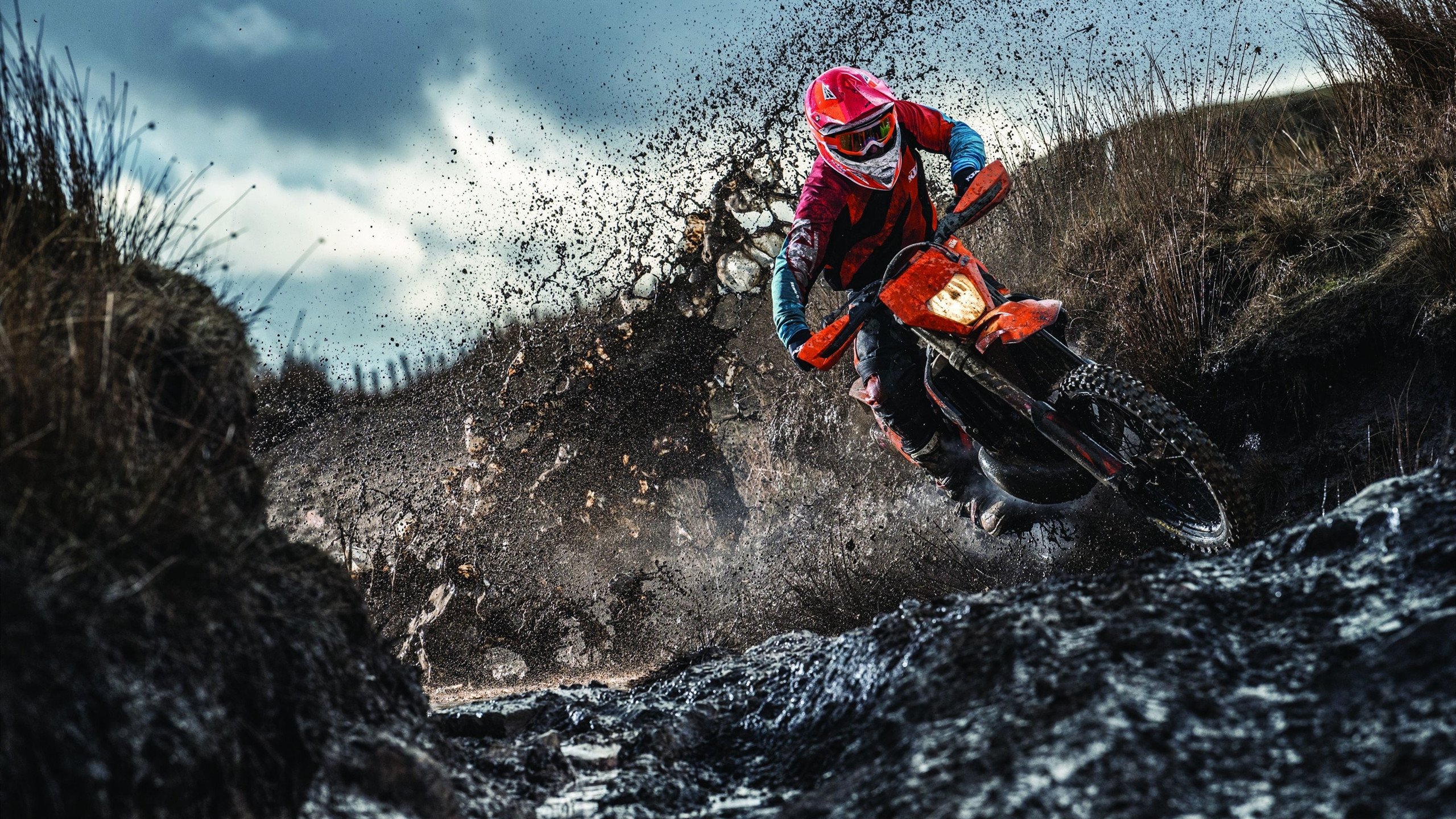 女子橄榄球崛起，澳大利亚女队吸引全球目光，澳大利亚nrl橄榄球联赛